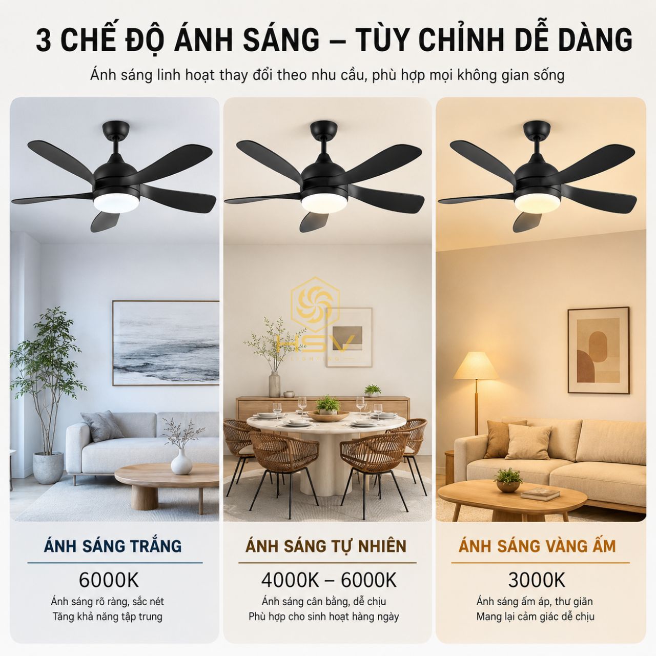 Quạt Trần Hiện Đại Q-010 - Ảnh 12